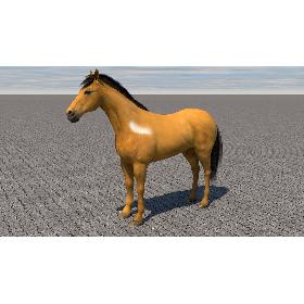 3D Horse model